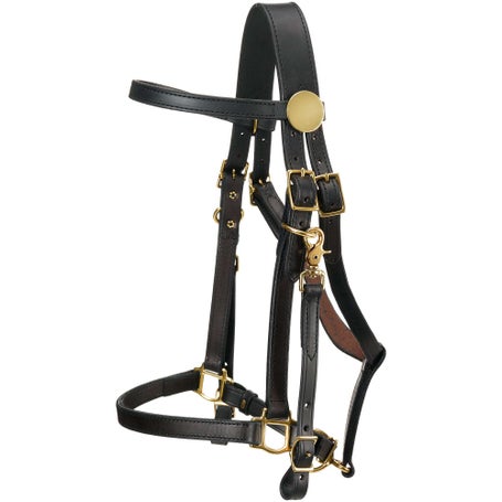 Shenandoah Leather Trail Halter Bridle Combination