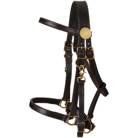 Shenandoah Leather Trail Halter Bridle Combination
