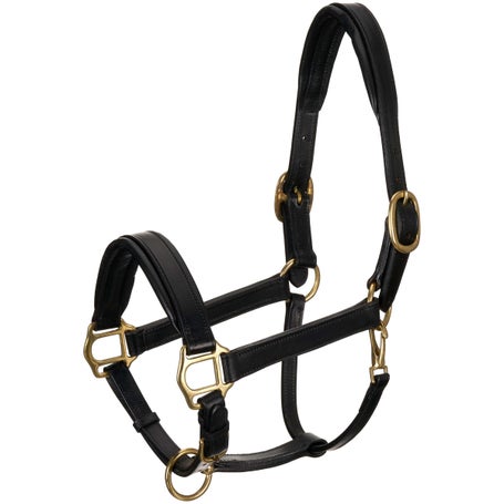 Shires Velociti GARA Leather Travel Halter | Riding Warehouse