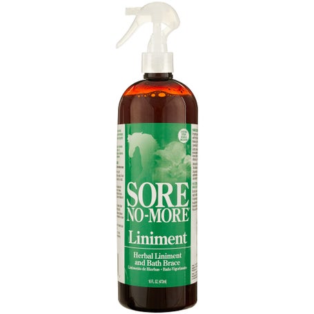 Sore No-More Herbal Liniment Spray 16 oz