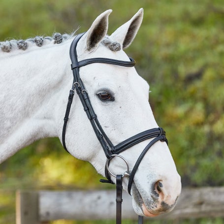 Schockemoehle Tokyo Select Anatomic Bridle