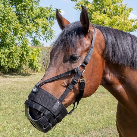 Tough 1 Easy Breathe V Grazing Muzzle/Halter Combo