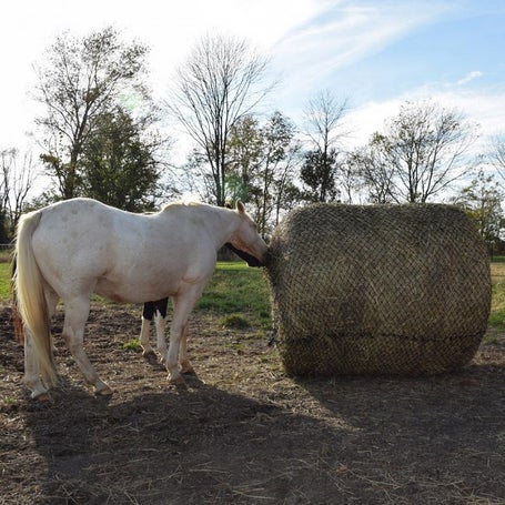 Tough 1 Round Bale 6X6 Slow Feed Hay Net