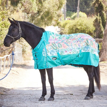 Horse Blanket/Turnout Storage Bag - Serape Print - Tough 1