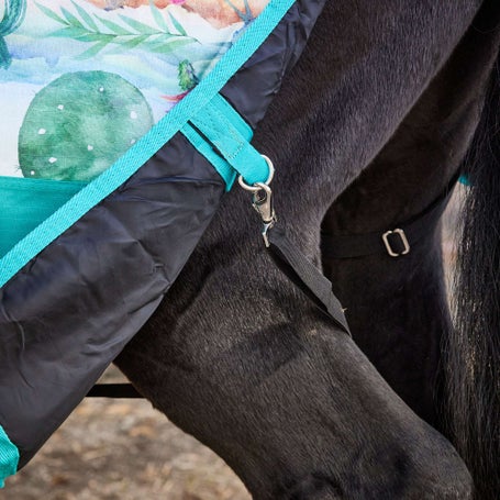 Horse Blanket/Turnout Storage Bag - Cactus Print - Tough 1 - Personali –  Custom Horse and Hound