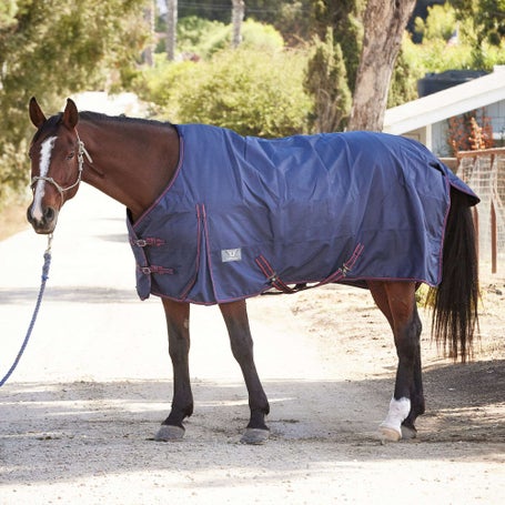 TuffRider 1200D Comfy StandardNeck Turnout Blanket 200G