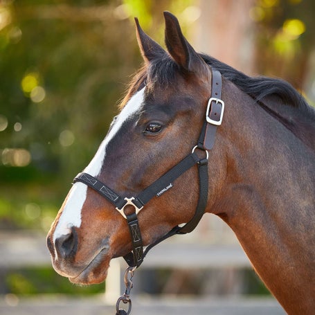 LEATHER Turnout Halter