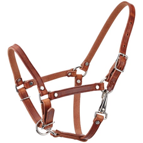 Tory Leather Adjustable Foal Halter
