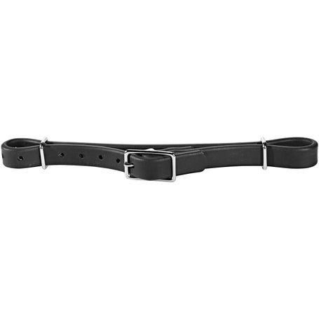 Myler Beta BioThane Curb Strap