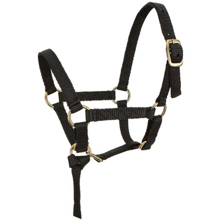 Tough 1 Miniature Horse Nylon Halter