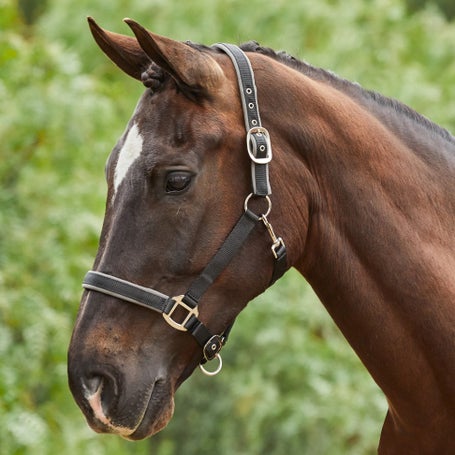 Tough-1 Leather Stable Horse Halter, Brown