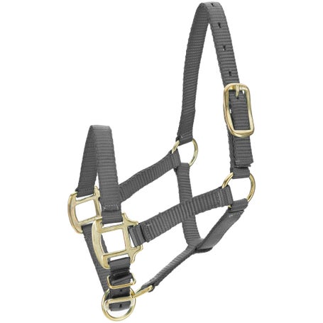 Tough 1 Premium Poly Miniature Horse Halter