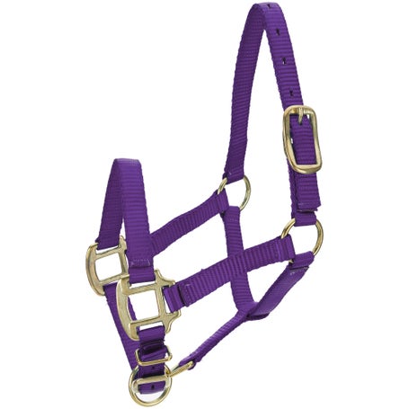 Tough1 Premium Poly Miniature Horse Halter