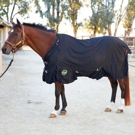 Ceramic Leg Wraps for Horses