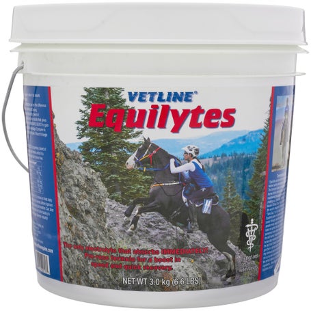 Vetline Equine Equilytes Electrolyte Powder Supplement