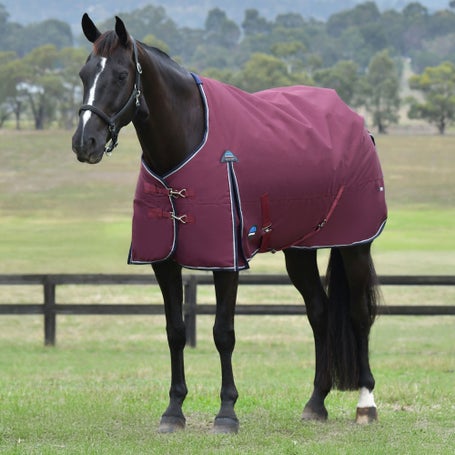 Weatherbeeta ComFiTec Essential Standard Blanket 50G