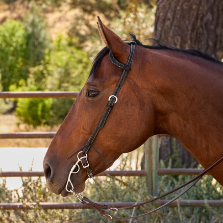 Weaver Leather Black Flat Sliding Ear Bridle Headstall
