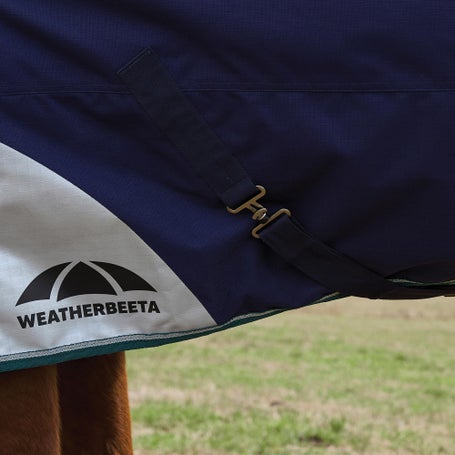 Copri matita / penna a forma di capra - hand made