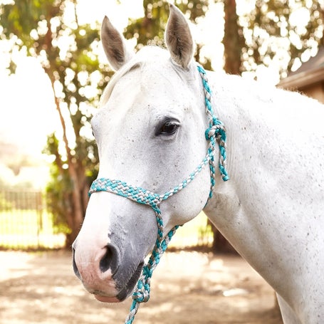 Weaver Braided Rope Halter With 10 Lead
