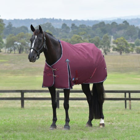 Weatherbeeta ComFiTec Essential Standard Blanket 100G
