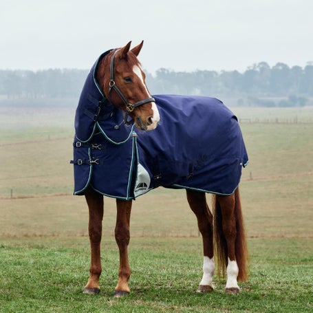 Weatherbeeta Plus Dynamic Detach-A-Neck Blanket 220G
