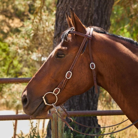 Weaver Working Tack Browband Buckle Bit Ends Headstall