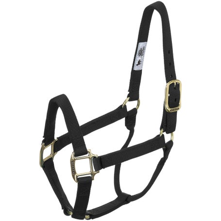 Nylon Horse Neoprene Padded Burgundy Adjustable Halter Brass Hardware  606173BG 