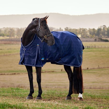 Weatherbeeta ComFiTec Prelim Standard Blanket 360G