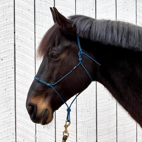 Weaver Silvertip Four Knot Rope Halter