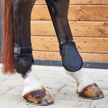 Woof Wear Sport Fetlock Boots