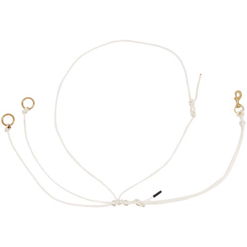 Horse Training Accessories Riding Warehouse