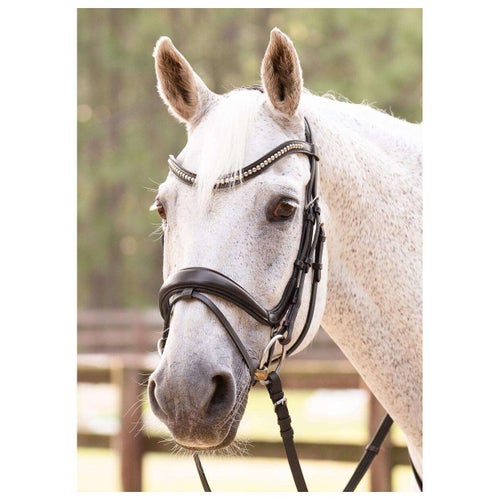 English Dressage Bridles Riding Warehouse