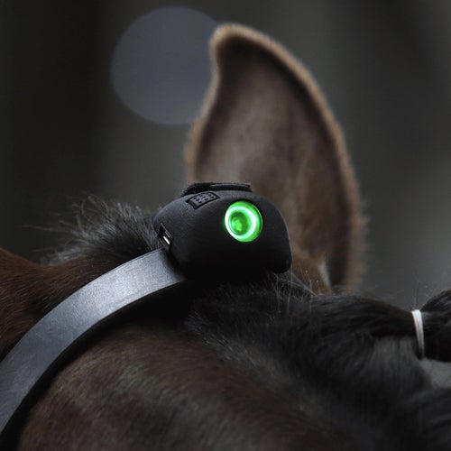 Horse Training Accessories Riding Warehouse