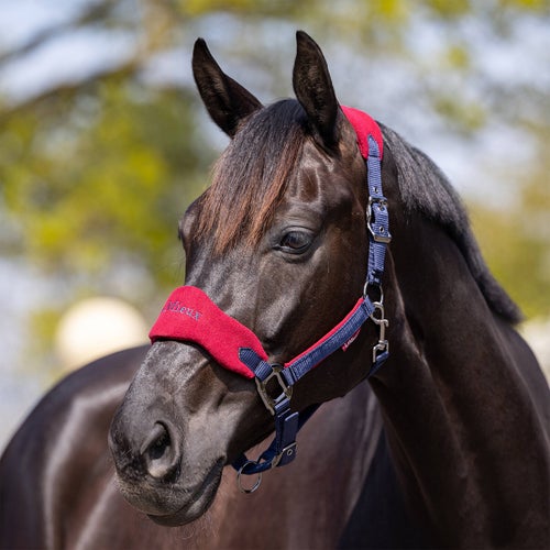 LeMieux Horse Halters Riding Warehouse