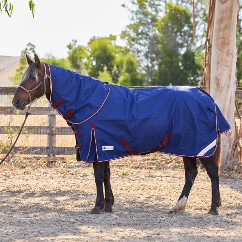 Coperta Da Esterno Perpetual Equestrian Pro-Trainer 100g Con Collo Rimovibile Per Cavalli