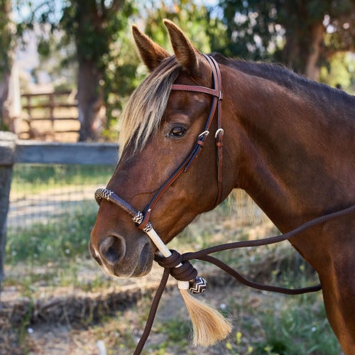Bosal En Cuir Brut Et Nylon Noir - Hackamore Sans Mors Avec Mecate - Showman Products