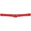 Berlin Custom Beta BioThane Curb Strap