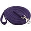 Centaur Cushion Web Lunge Line 25'