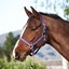 Centaur Glitter Breakaway Halter