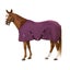 Centaur Turbo-Dry Fleece Horse Cooler Sheet/Blanket