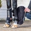 LeMieux Conductive Magnotherapy Tendon Boots