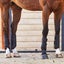 Majyk Equipe Boyd Martin Gen II Eventing Boots-Set of 4