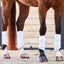 Majyk Equipe Boyd Martin Gen II Eventing Boots-Set of 4