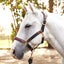 Ovation Luxor Cushion-Flex Ergonomic Adjustable Halter