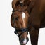 PS of Sweden General Purpose Anatomic Padded Bridle