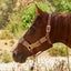 Tough 1 Wool String Leather Halter