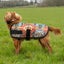 WeatherBeeta ComFiTec Essential Dog Coat