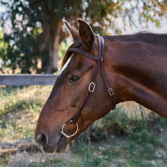 Berlin Custom Leather Ranch Brand Browband Headstall Riding