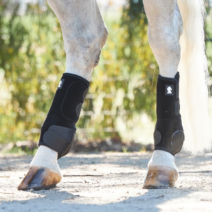 Classic Equine Flexion by Legacy Hind Support Boots Riding Warehouse