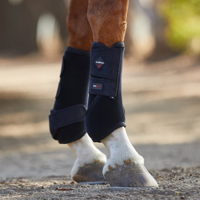 Lemieux Support Horse Boots Pair Riding Warehouse